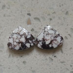 Make Your Own Jewelry A Pair Of Earrings Or Pendants Or Whatever White Buffalo